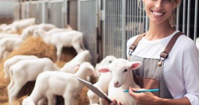 Balancing Animal Welfare and Breeding Goals in the US